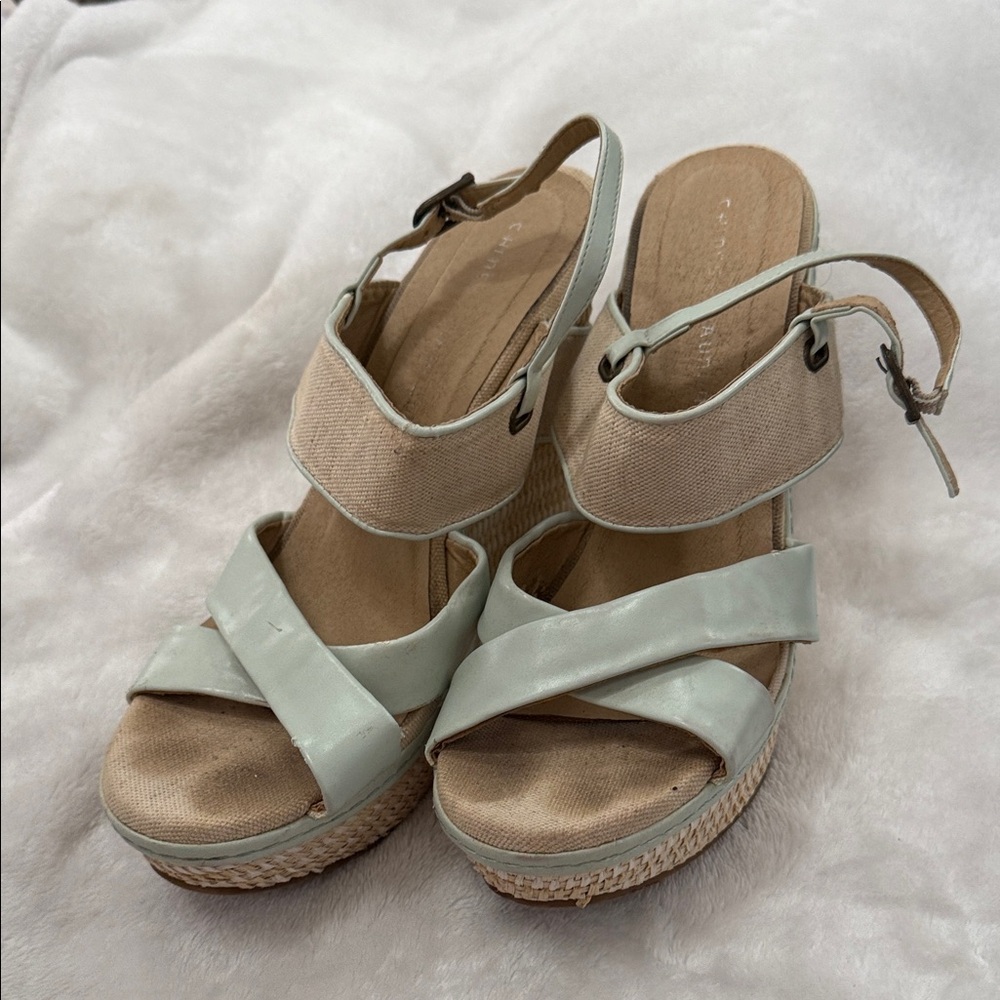 Chinese Laundry Mint Green Crisscross Wedge Sandals